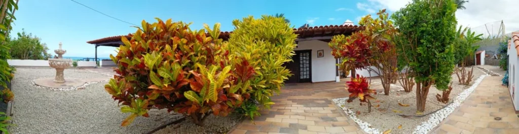 Finca con chalet 3